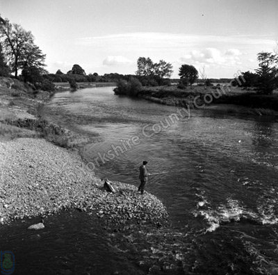 Fishing, River Ure, Bridge Hewick